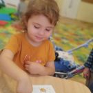 24e9f266-73c0-4e62-ba0f-ab2c79fccee4