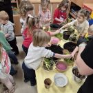 WhatsApp Image 2026-02-14 at 10.09.37