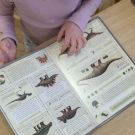 c4409b4a-8253-495a-a227-6409cf7e8f08