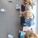 c5ea03ef-525d-4fd5-bc7b-7618a93373bd