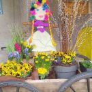 WhatsApp Image 2026-03-20 at 11.38.31