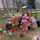 WhatsApp Image 2026-04-06 at 21.42.05655